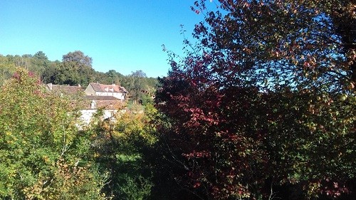 Automne3