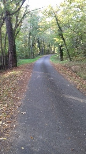 Automne4