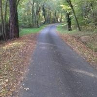 Automne4